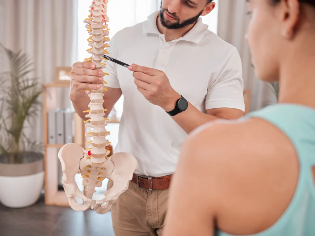 chiropractor spine and anatomy with a medical ske 2023 11 27 05 08 03 utc